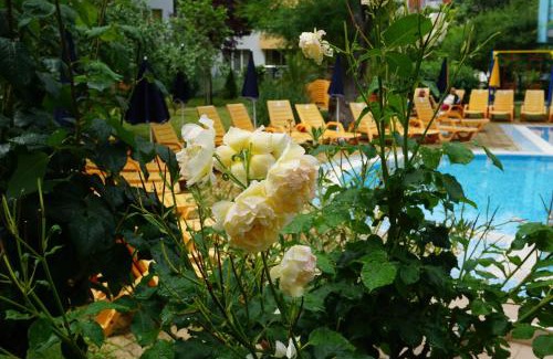 Chaika Apartamento | MNG Holiday Yassen Apartments