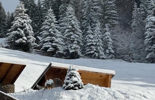 Moeciu de Sus Chalet De Esquí | Moșia Sofiei