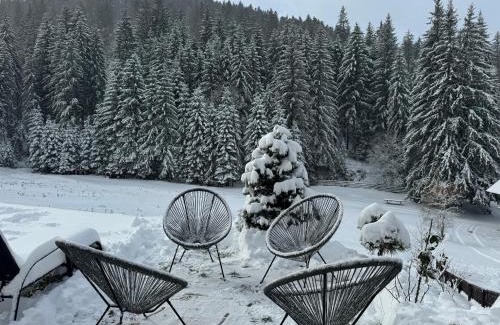 Moeciu de Sus Chalet De Esquí | Moșia Sofiei