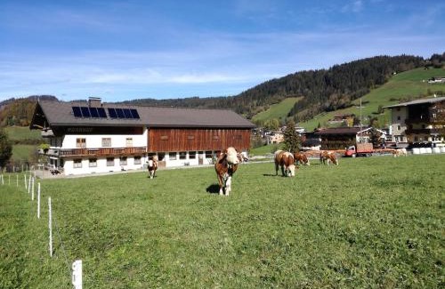 Niederau Casa | Moarhof Appartements