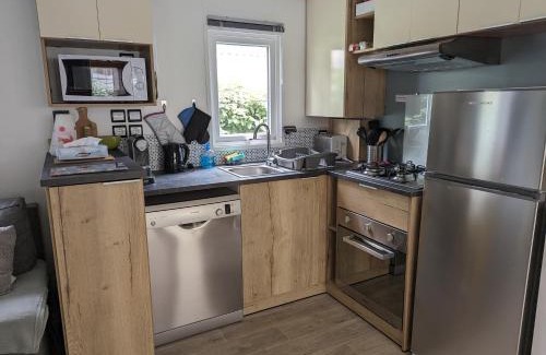 Les Mathes Otro | Mobil home climatisé récent 2 salles d'eau, 2 WC à SIBLU Bonne Anse plage