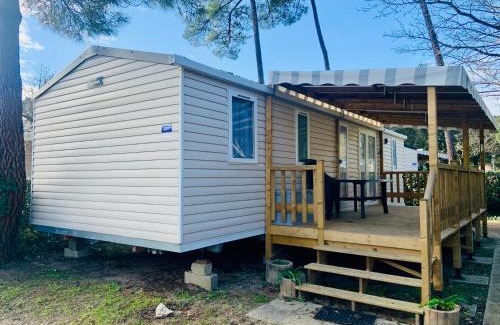 Ronce-les-Bains Otro | MOBIL HOME LUXUEUX de 3ch - CAMPING LA PIGNADE 4 Etoiles - RONCE-LES-BAINS - COTE ATLANTIQUE