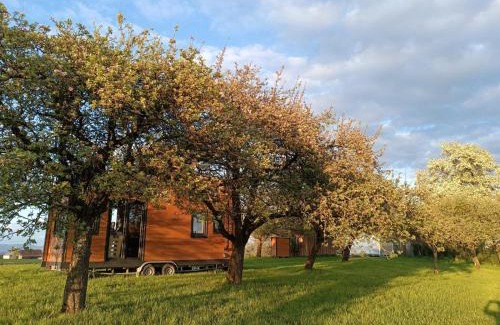 Mayrhof Apartamento | Mobile Tinyhouse by Wolfsberger