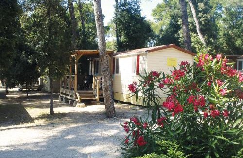 Biograd na Moru Complejo | Mobilehome Victoria - Camp Soline