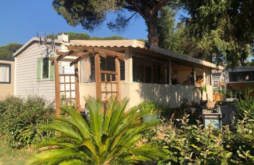 Puget-sur-Argens Complejo | Mobilhome 6 personnes Camping Oasis Village 5 étoiles