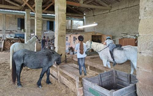 Chalabre Casa | Mobilhome Ferme équestre La Mouillère