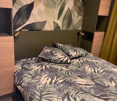 La Teste-de-Buch Apartamento | Mobilhome grand standing 533