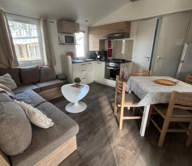 Saint-Julien-en-Born Complejo | Mobilhome tout confort - Les dunes de Contis
