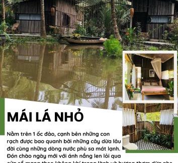 Mo Cay Nam Cama Y Desayuno | MOCAY farmstay