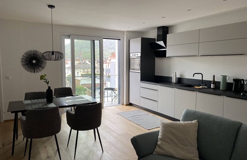 Neustadt an der Weinstrasse Apartamento | Modern city apartment