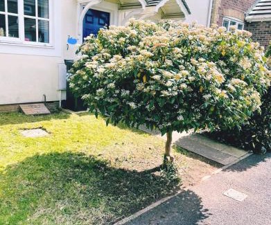 Stoke Gifford Apartamento | Modern 2 bed house- Free parking and close to the centre