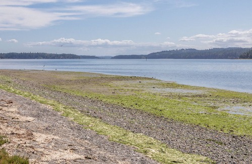 Marrowstone Cabina | Modern 3 Bedroom Sunset Cabin w/Beach Access