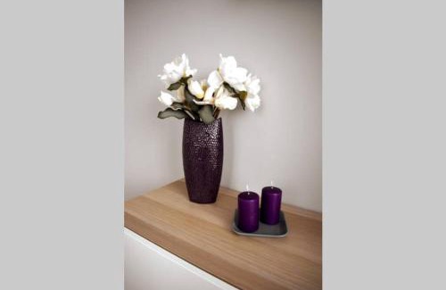 Tarnow Apartamento | Modern apartment in Tarnow