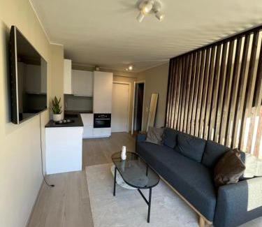 Laksevag Apartamento | Modern apartment ONLY 5 minutes from City Centre