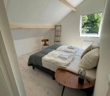 Julianadorp aan zee Casa | Modern beach house for 12 pers! With jacuzzi