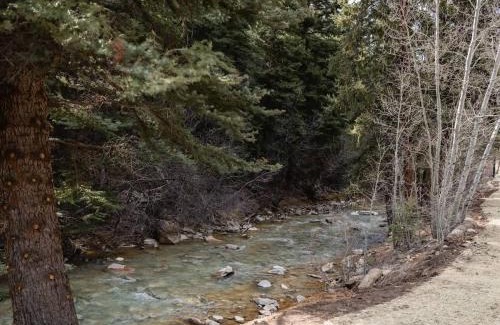 Grant Casa | Modern Cabin Peaceful Nature Retreat Sleeps 2