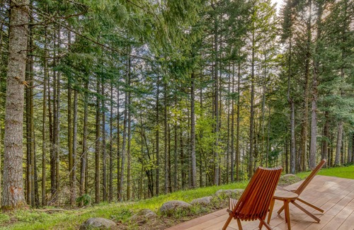 Stevenson Cabina | Modern cabin, views, geothermal hot tub, indoor steam sauna & deck