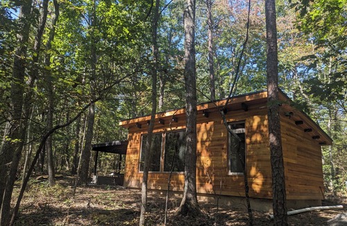 Rising Fawn Cabina | Modern Cloudland Cabin, 1.5 miles of private trails through 10 acres of woodland