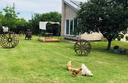 Musestre Cabaña | Modern cottage surrounded by nature