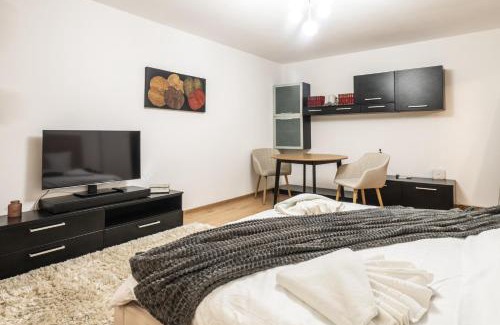 Aviatiei Apartamento | Modern & Cozy Studio - Near Herastrau Park