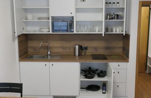 Bayerisch Eisenstein Apartamento | Modern flat near Großer Arber