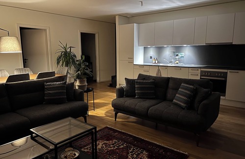 Crissier Apartamento | Modern Fully Equipped Apartment - Free Parking