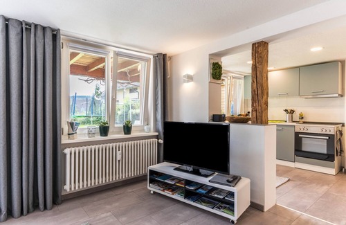 Gaienhofen Apartamento | Moderno apartamento vacacional "Schweizer" con vistas al lago, terraza y Wi-Fi