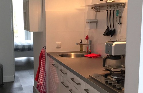 Kollum Casa | Modern Holiday Home in Kollumerland c.a with Private Garden