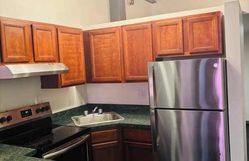 Greektown Historic District Apartamento | Modern Industrial Loft w/ Brick &Hardwood- Free Utilities!