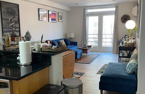 Williamsburg Apartamento | Modern lg 2/2 Condo central Wburg : balcony, prkg, roof, gym. Sleeps 6
