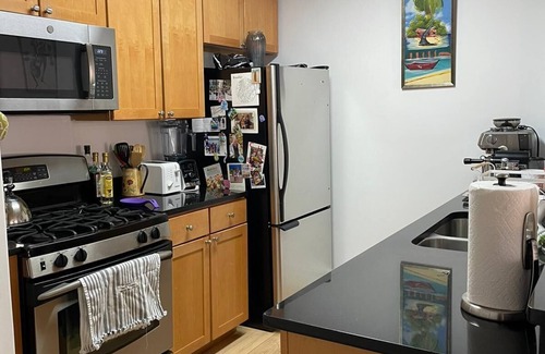 Williamsburg Apartamento | Modern lg 2/2 Condo central Wburg : balcony, prkg, roof, gym. Sleeps 6