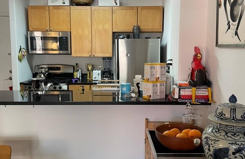 Williamsburg Apartamento | Modern lg 2/2 Condo central Wburg : balcony, prkg, roof, gym. Sleeps 6