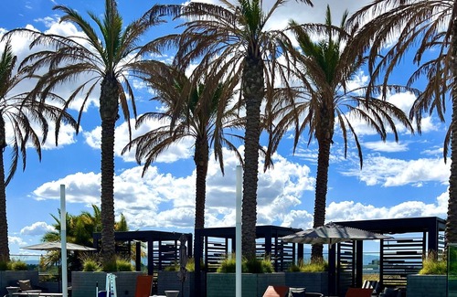 Berryessa Apartamento | Modern luxe apartment middle of bay area