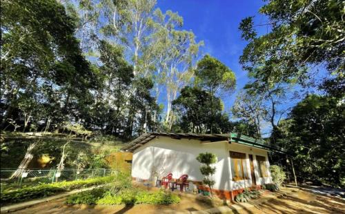 Bandarawela Casa | Modern Nature Lodge - Private Holiday Home - Ella