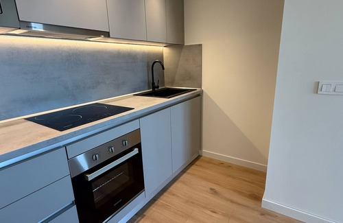 La Latina Apartamento | Moderno Nuevo Perfecto disfruta Madrid gratis transporte aeropuerto.