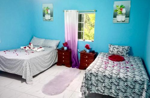 Tower Isle Casa | Modern Oasis near Dunns River Falls