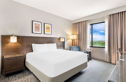 Bee Cave Hotel | Modern Room w/ Scenic Rooftop Dining, Cozy Atmosphere, & Outdoor Pool