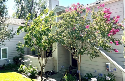 San Ramon Condominio | Modern San Ramon Condo – Stylish, Comfy Peaceful & Perfectly Located!