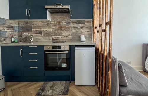 Tottenham Green Apartamento | Estudio-Moderno-Baño privado con ducha-Vista al patio