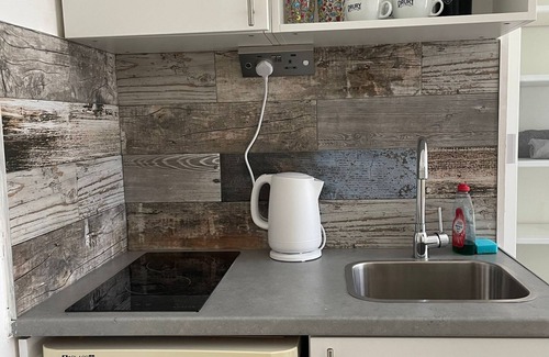 Tottenham Green Apartamento | Estudio-Moderno-Baño privado con ducha-Vista al patio