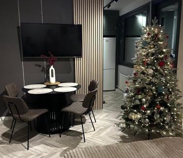 Rovaniemi Apartamento | modern studio @ city center
