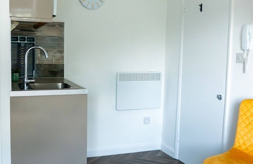 Hackney Downs Apartamento | Estudio-Moderno-Baño privado con ducha-Vista a la Ciudad
