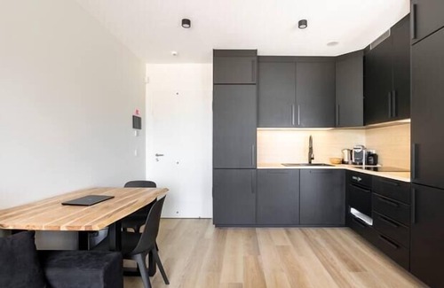 Gasperich Apartamento | Modern Studio PwC Deloitte in Cloche dOr