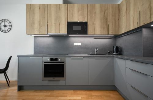 Zizkov Apartamento | Modern Stylish Apartment with Private Garage