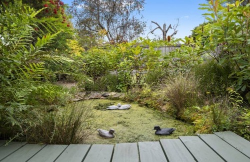 Mount Colah Casa | Modern Stylish Getaway with Stunning garden view Granny Flat in MC 2079