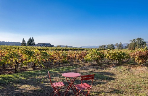 Healdsburg Casa | Modern Vineyard House