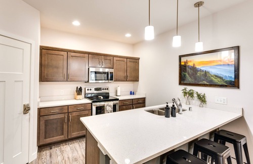 Village of Cottage Grove Condominio | Modern Wisconsin Vacation Rental w/ Fireplace