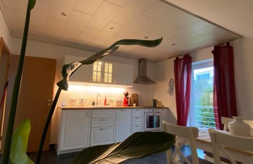 Freudenberg Apartamento | Moderne Ferienwohnung Seeblick
