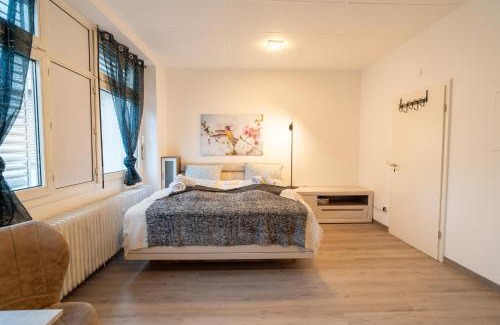 Lutzel Apartamento | Modernes Studio Koblenz mit Küche und WLAN