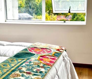 Osorno Apartamento | Moderno departamento en Osorno